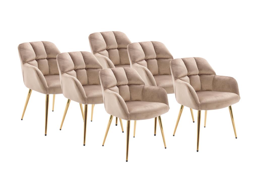 Lot de chaises avec - Beige