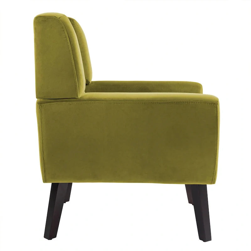 Ensemble de 2 fauteuils d'appoint en velours pour salon, avec accoudoirs rembourrés